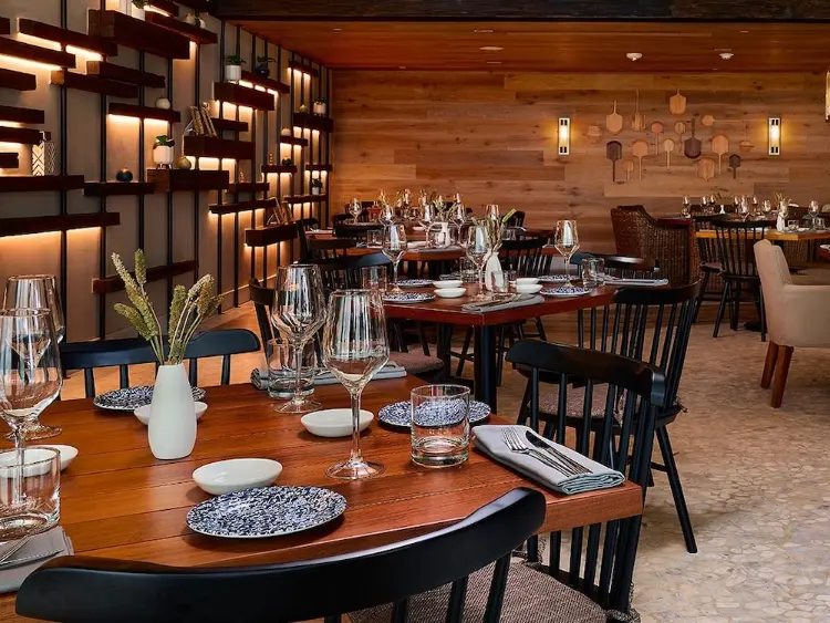 SLS Playa Mujeres Restaurants Bars