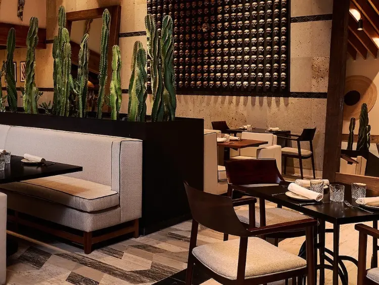 SLS Playa Mujeres Restaurants Bars